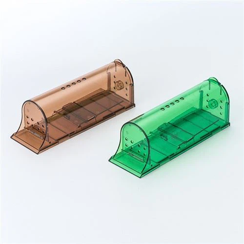 Chuột thoát khỏi bẫy chụp ảnh