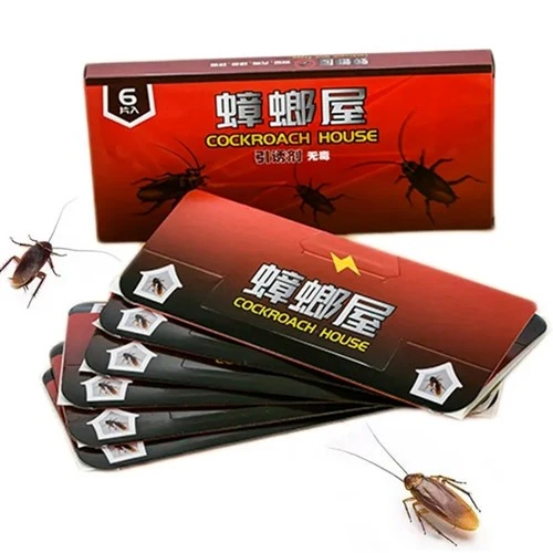 bẫy gián